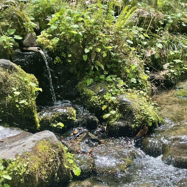 杜々の森名水公園　【2025年4月26日オープン】