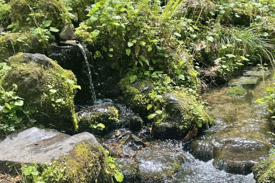 杜々の森名水公園　【2025年4月26日オープン】