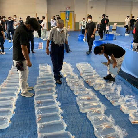 第16回 田上がり品評会