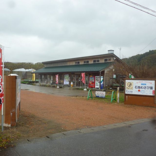 日本海石地　わさび園