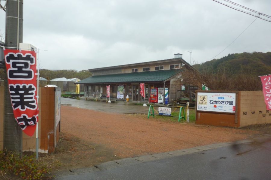 日本海石地　わさび園