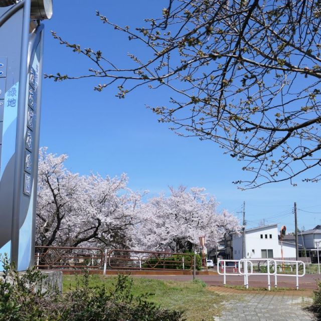 与板河川緑地たちばな公園