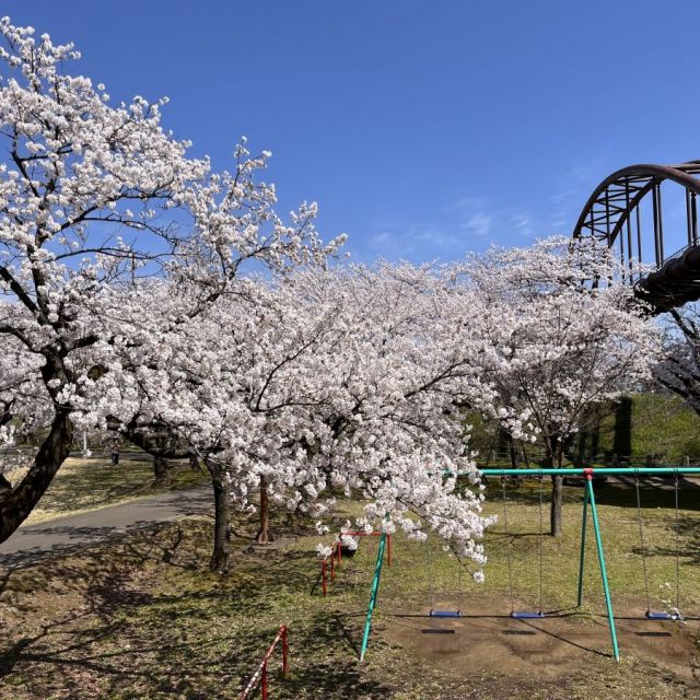 今宮公園