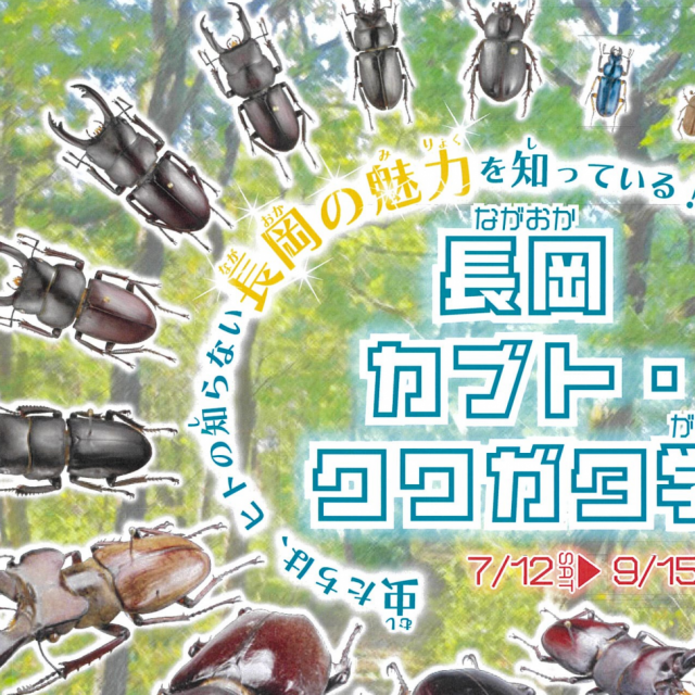 長岡カブト・クワガタ学