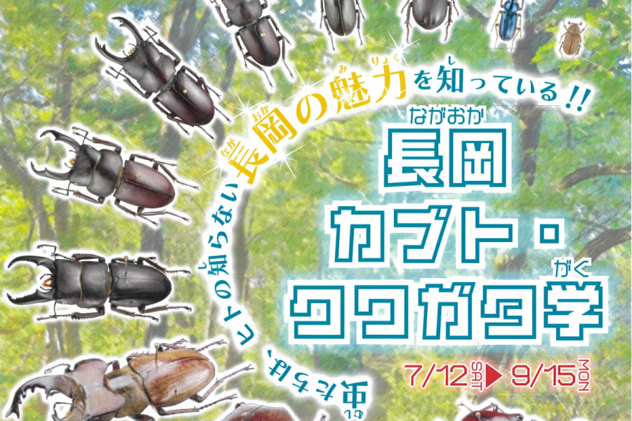 長岡カブト・クワガタ学