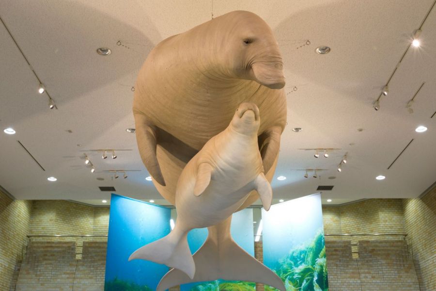 長岡市科学博物館エントランス