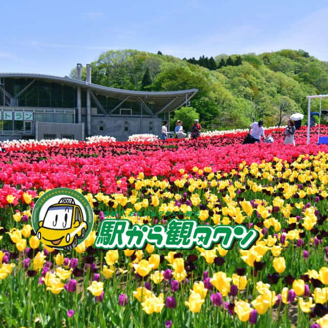 国営越後丘陵公園・雪国植物園・新潟県立歴史博物館と江口だんご（2時間30分コース）