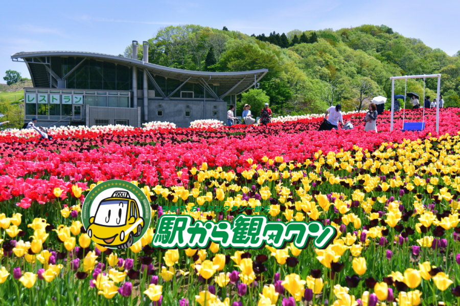 国営越後丘陵公園・雪国植物園・新潟県立歴史博物館と江口だんご（2時間30分コース）