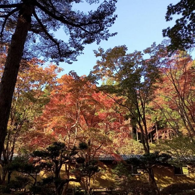 日蓮宗本山村田  法王山 妙法寺