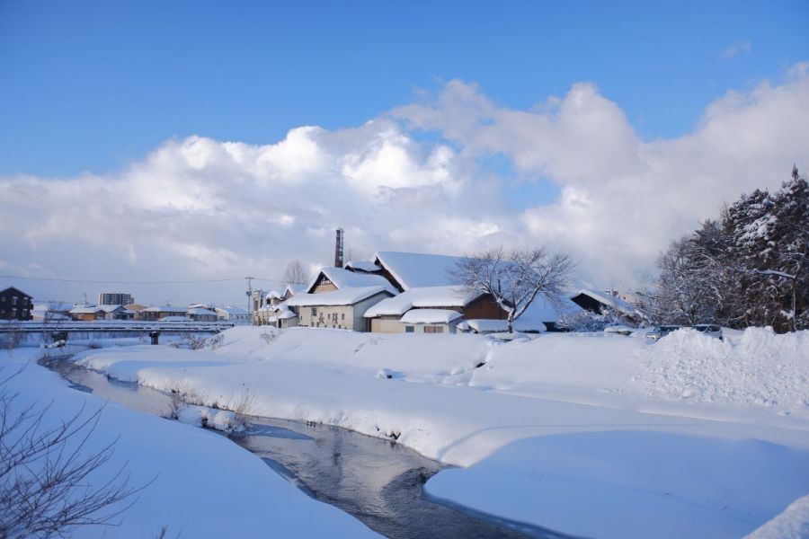 葵酒造（株）／「Maison Aoi -めぞん　あおい-」