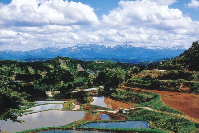 長安寺 (高岡市)