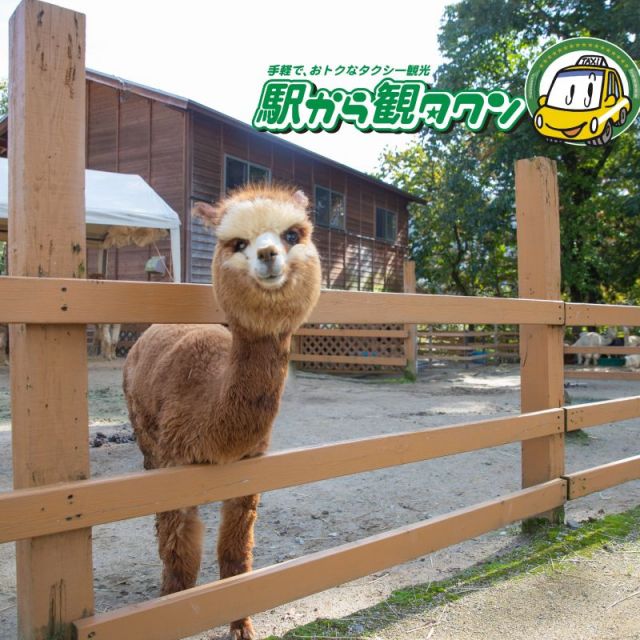 日本の原風景「山古志」を満喫！