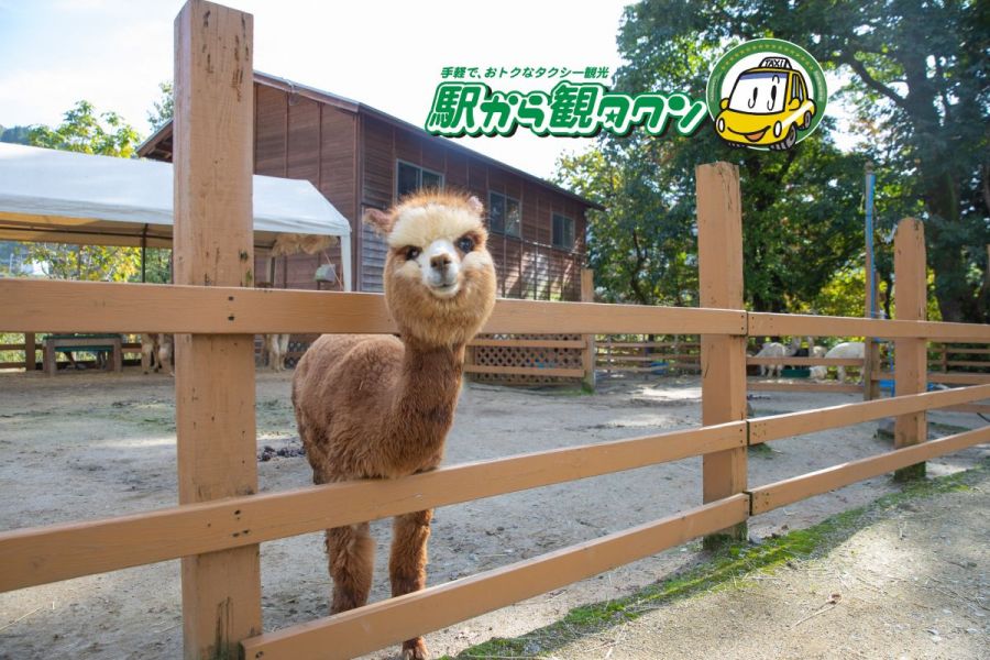 日本の原風景「山古志」を満喫！