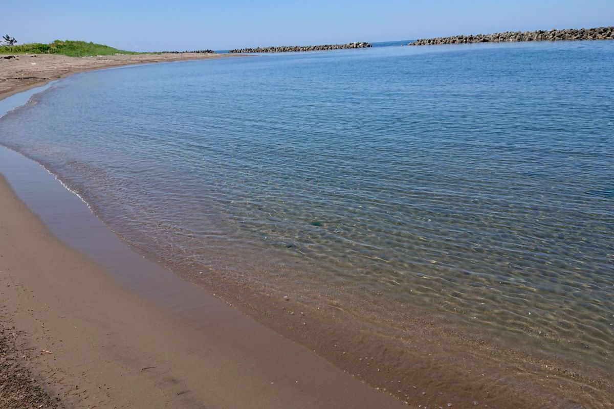 海水浴シーズン到来！ビーチで遊ぶ