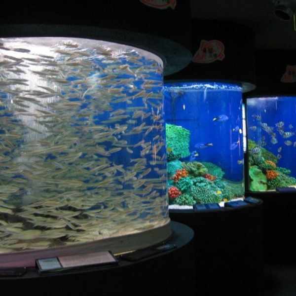 寺泊水族博物館