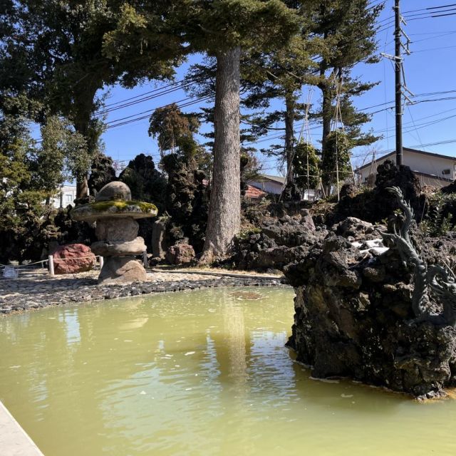 お池（錦鯉が泳いでいます）