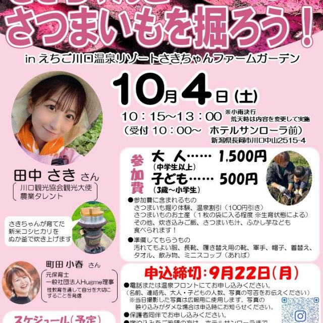 チラシ
