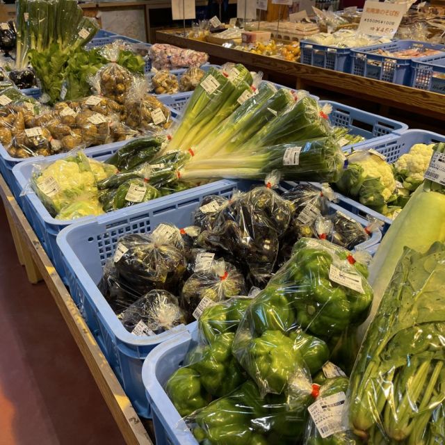 地元の新鮮野菜がいっぱい