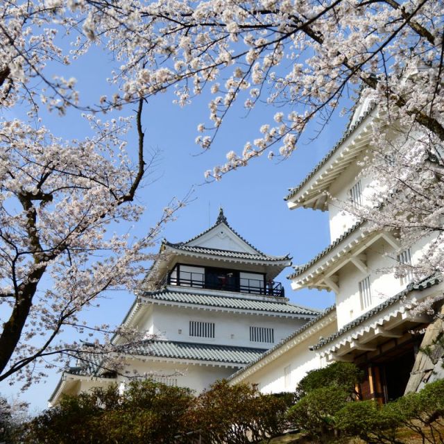 長岡市郷土史料館