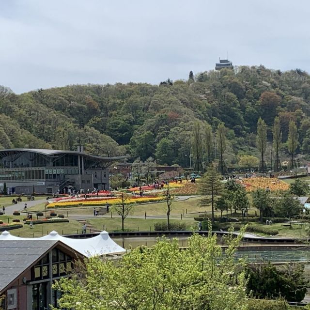 国営越後丘陵公園