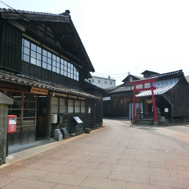 越のむらさき