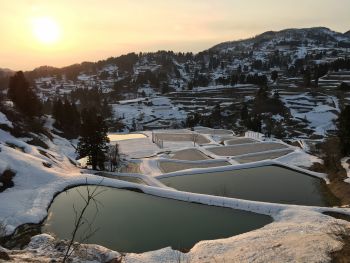 日本農業遺産認定「雪の恵みを活かした稲作・養鯉システム」