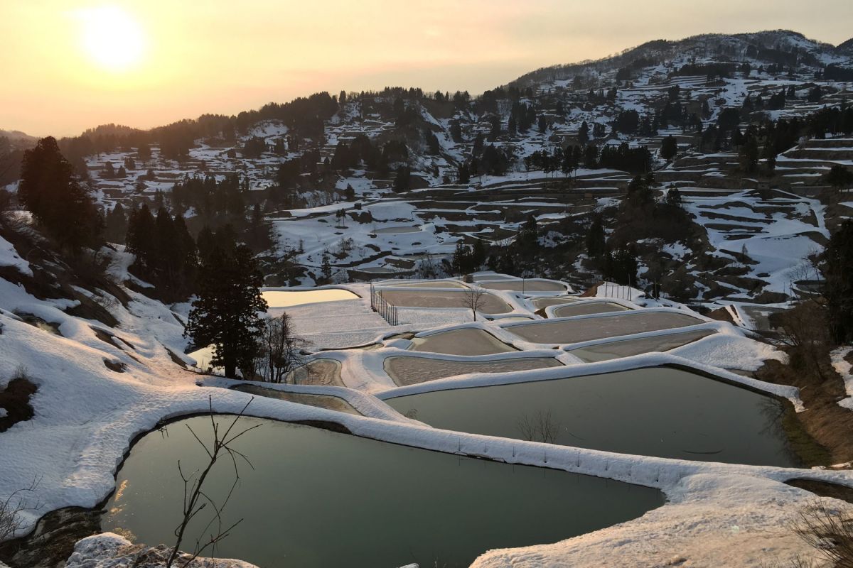 日本農業遺産認定「雪の恵みを活かした稲作・養鯉システム」