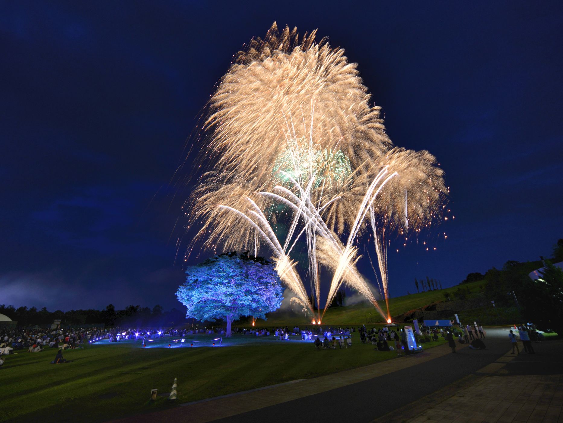 【国営越後丘陵公園】長岡花火『Rose Fantasy』6月14日（土）開催！
