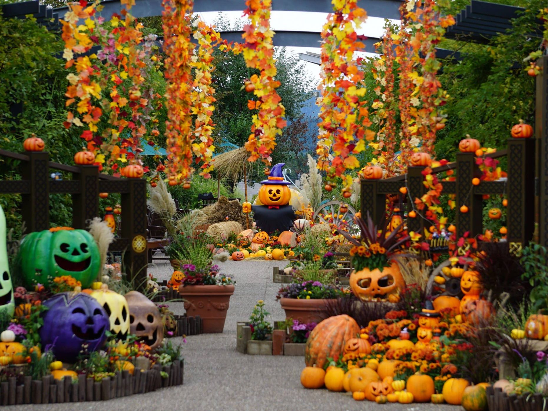 国営越後丘陵公園「ハロウィン・ハーベスト」【10月4日(土)～11月3日(月・祝)開催】