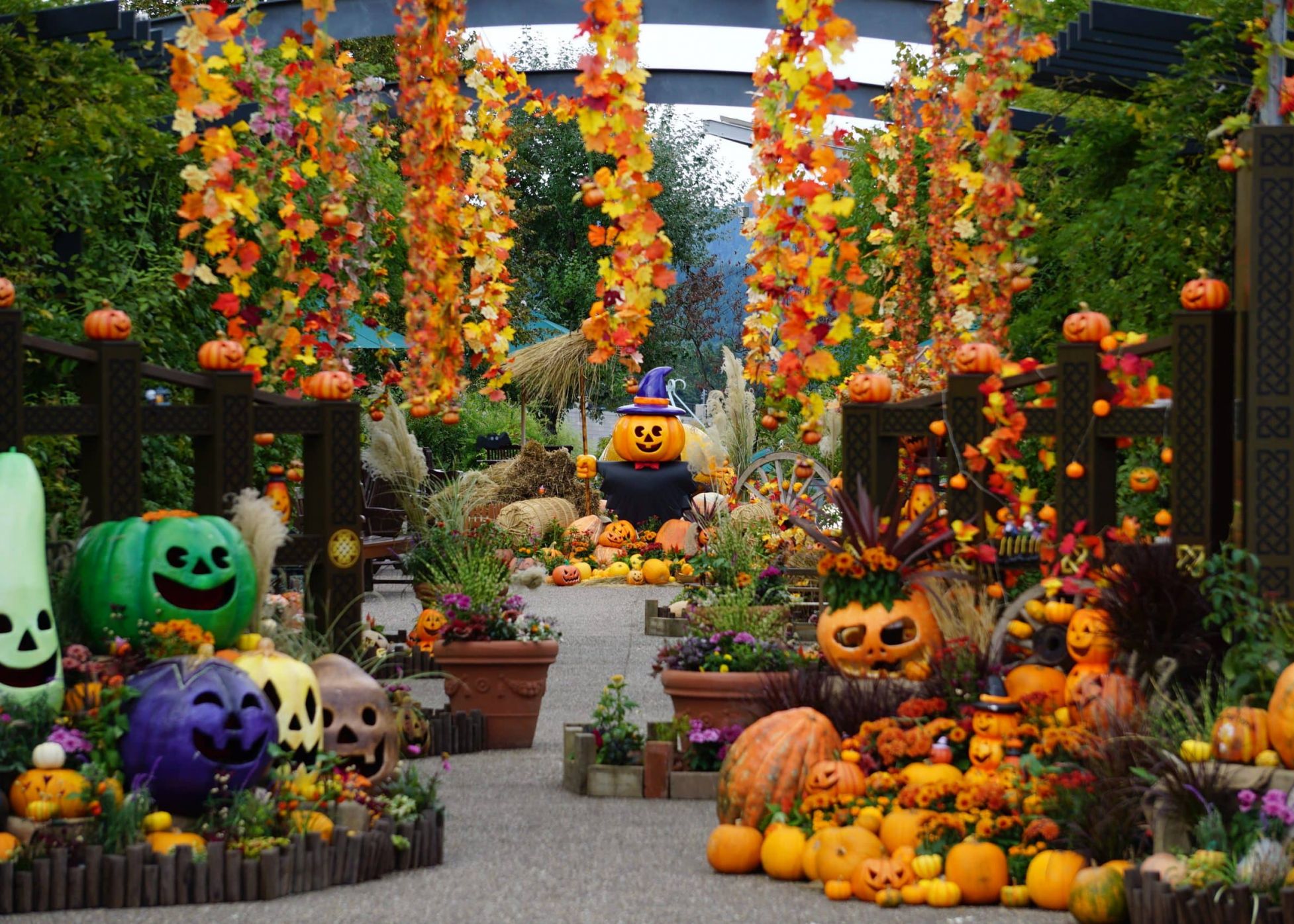 国営越後丘陵公園「ハロウィン・ハーベスト」【10月4日(土)～11月3日(月・祝)開催】