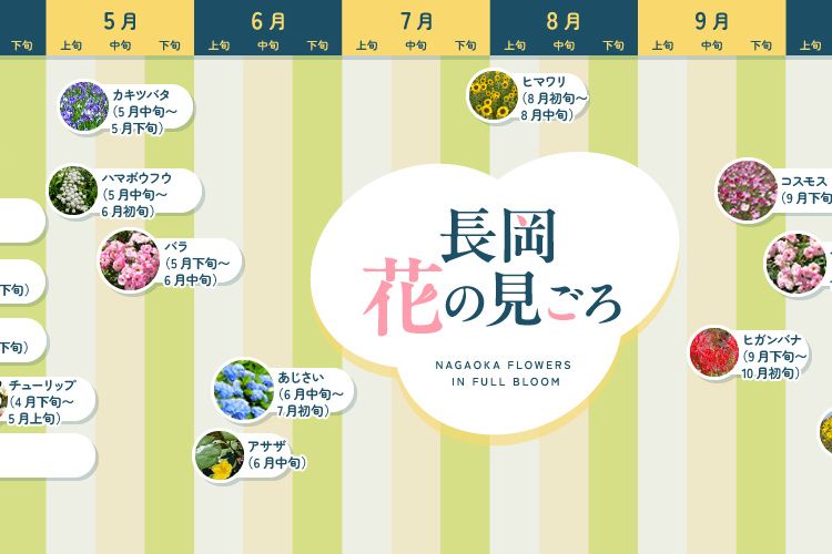 越後長岡四季を彩る花の名所めぐり