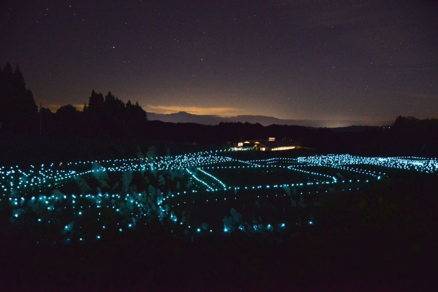 まるで別世界！棚田・棚池を歩いて楽しむ「やまあかり」