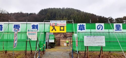 大崎雪割草の里