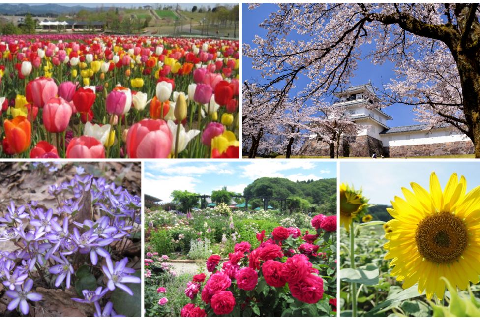 越後長岡四季を彩る花の名所めぐり