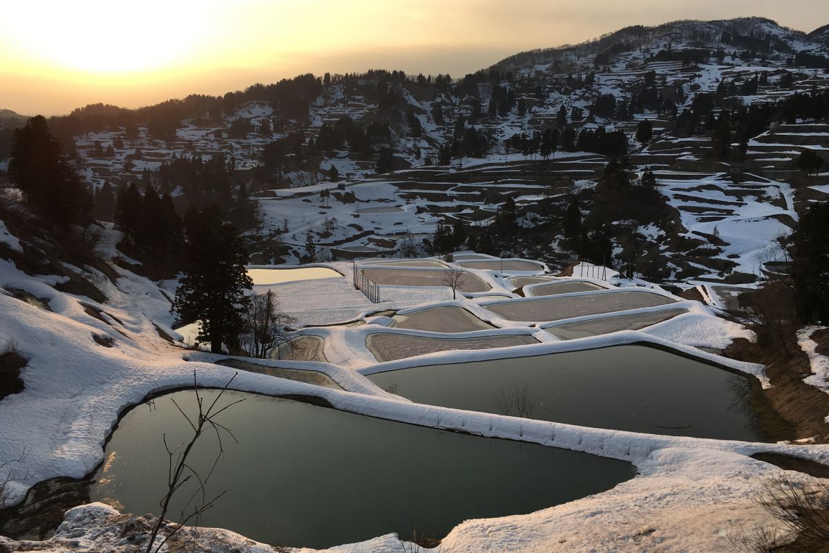 日本農業遺産認定「雪の恵みを活かした稲作・養鯉システム」