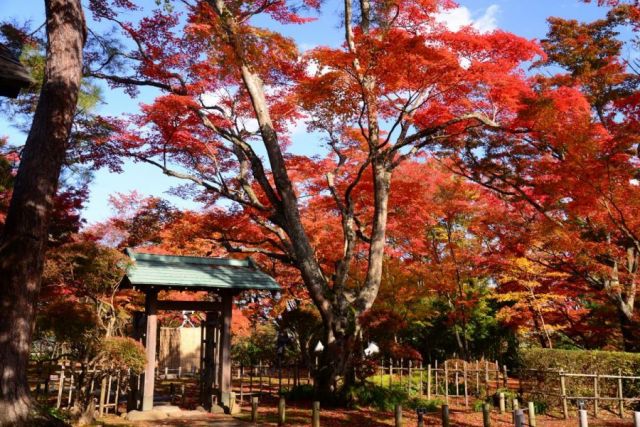 Momijien Garden and Tomoegaoka Villa