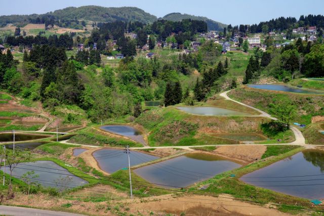 Unique Management Produces Beautiful Terraced Paddies and Ponds