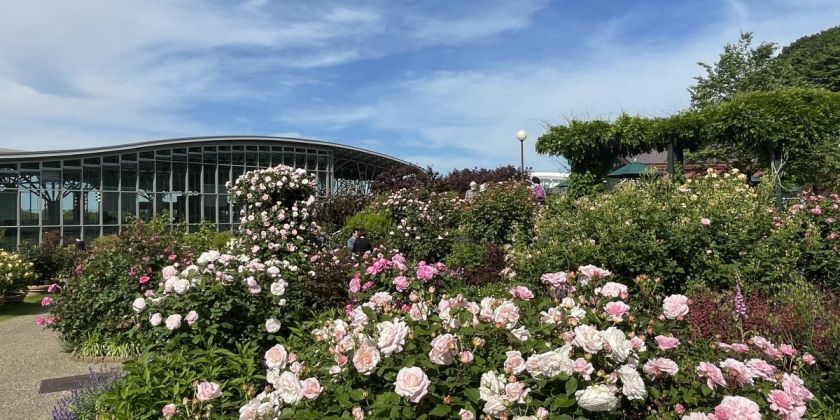 国営越後丘陵公園