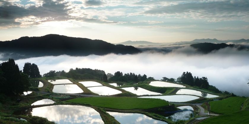 山古志棚田棚池原風景