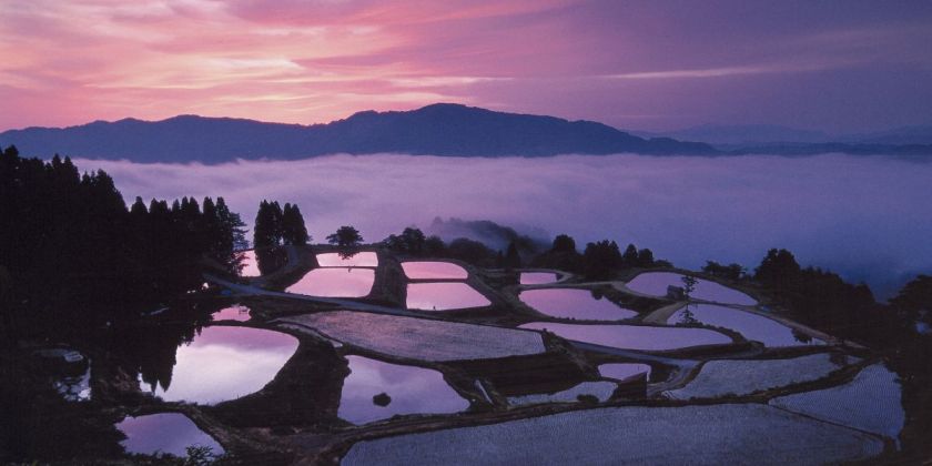 山古志棚田棚池原風景