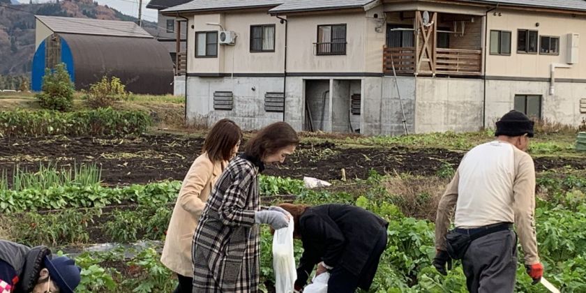 大きい大根はどれでしょう